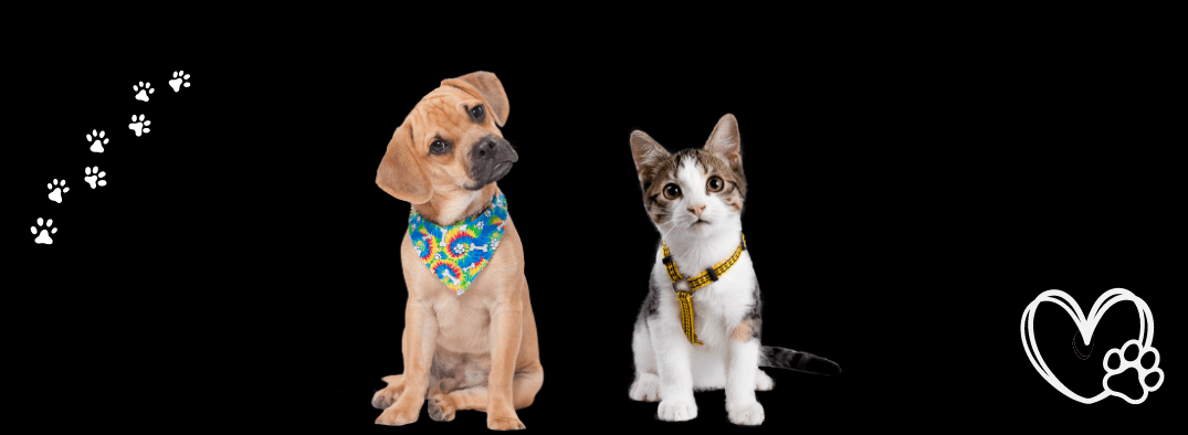 Blog Bradford Turner Insurance Group blog-bradford-turner-insurance-group
